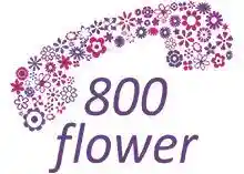 800flower.ae